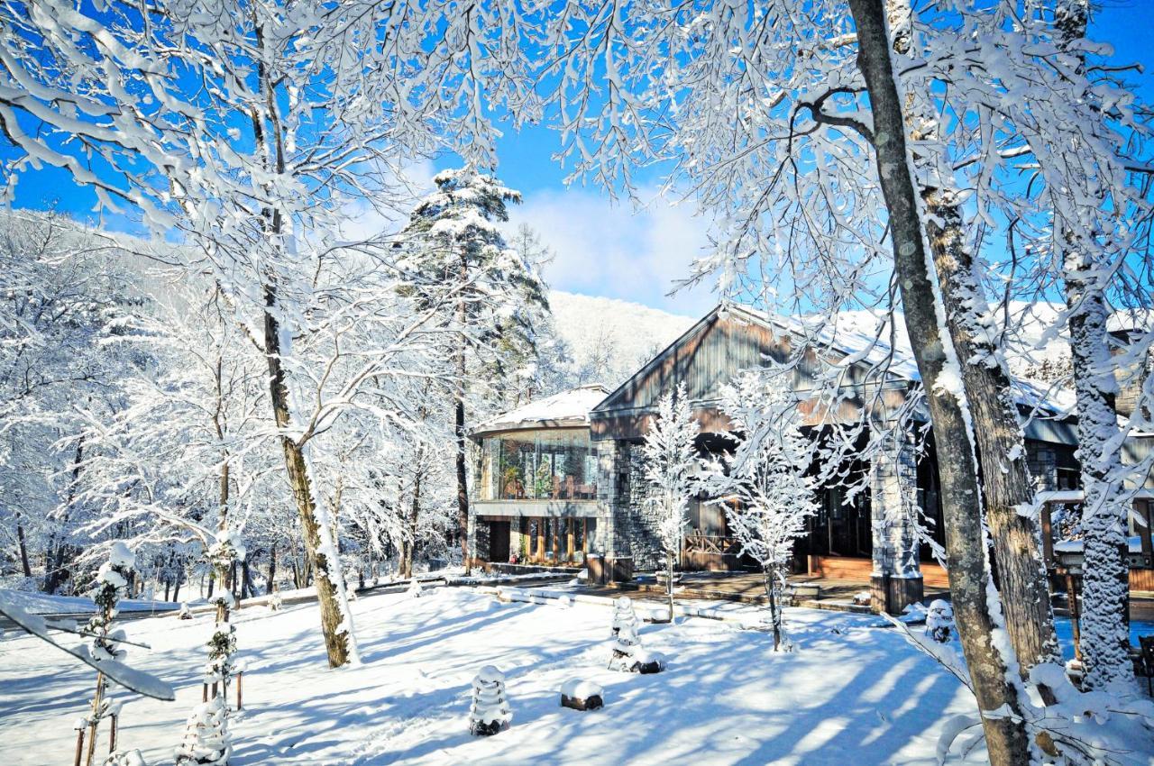 Hotel Sierra Resort Hakuba Eksteriør billede